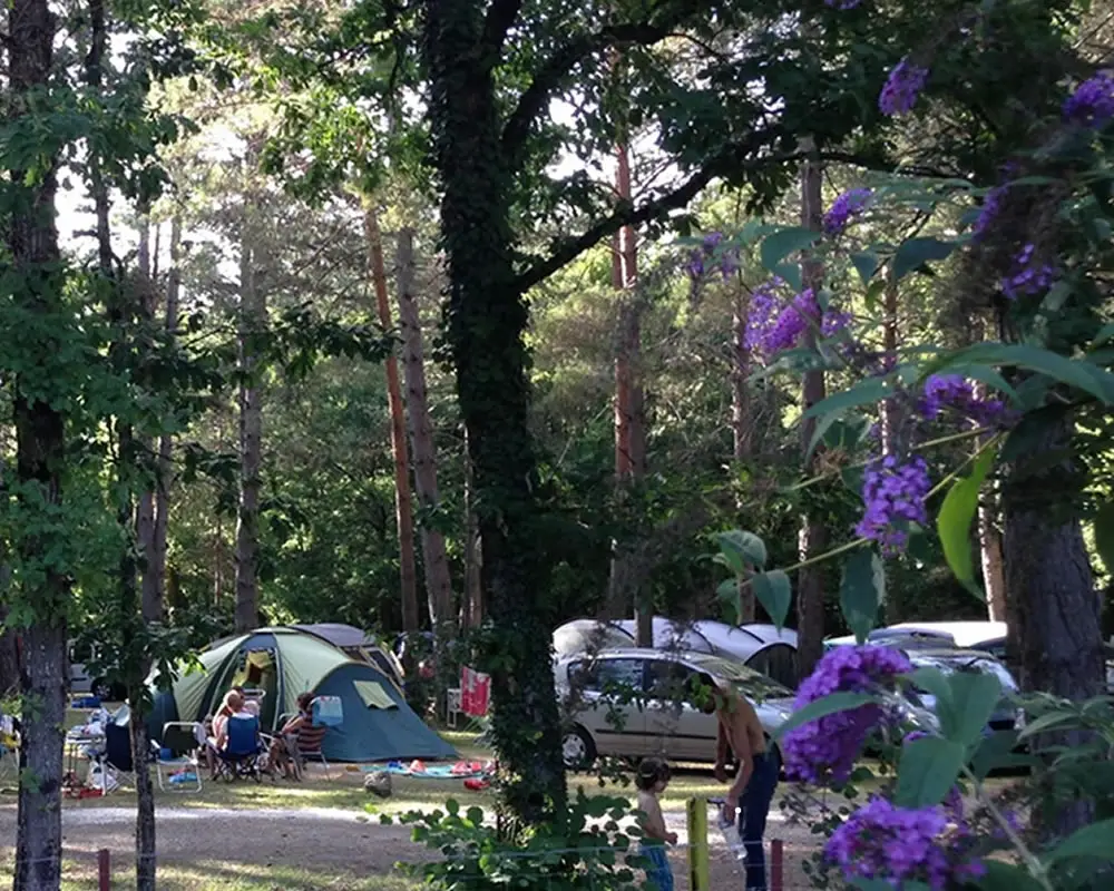 le camping du bas meygnaud